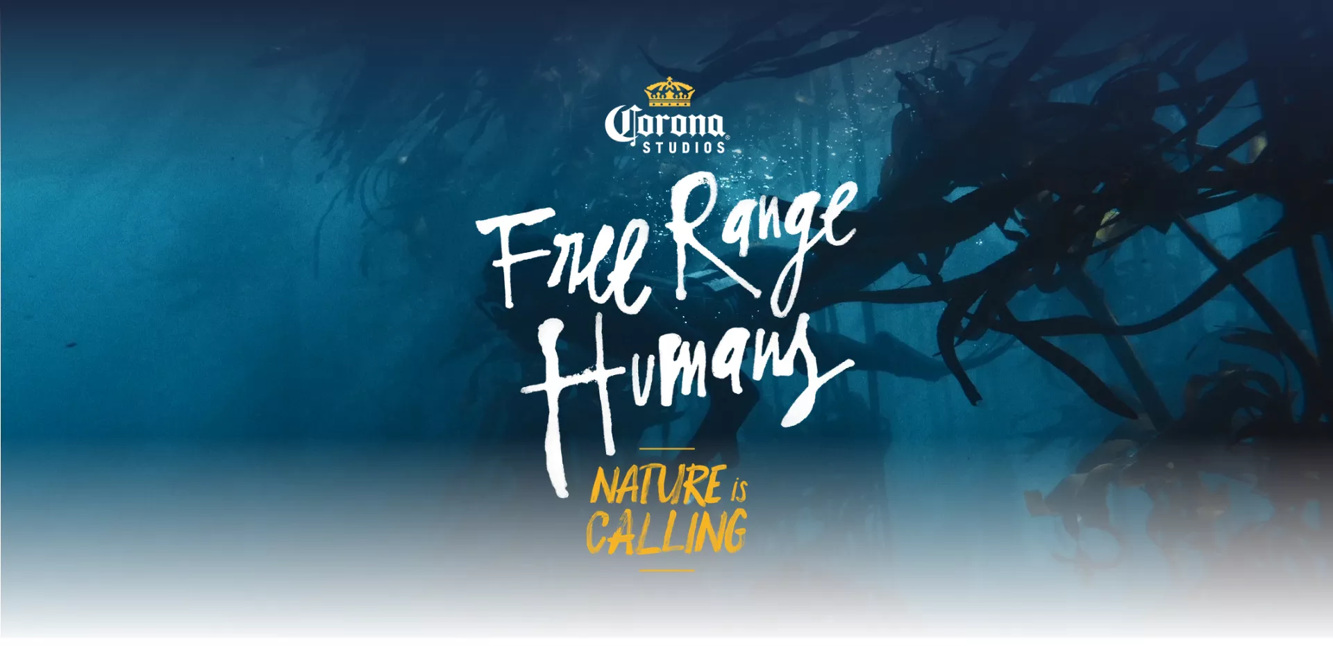 Free ranger humans 