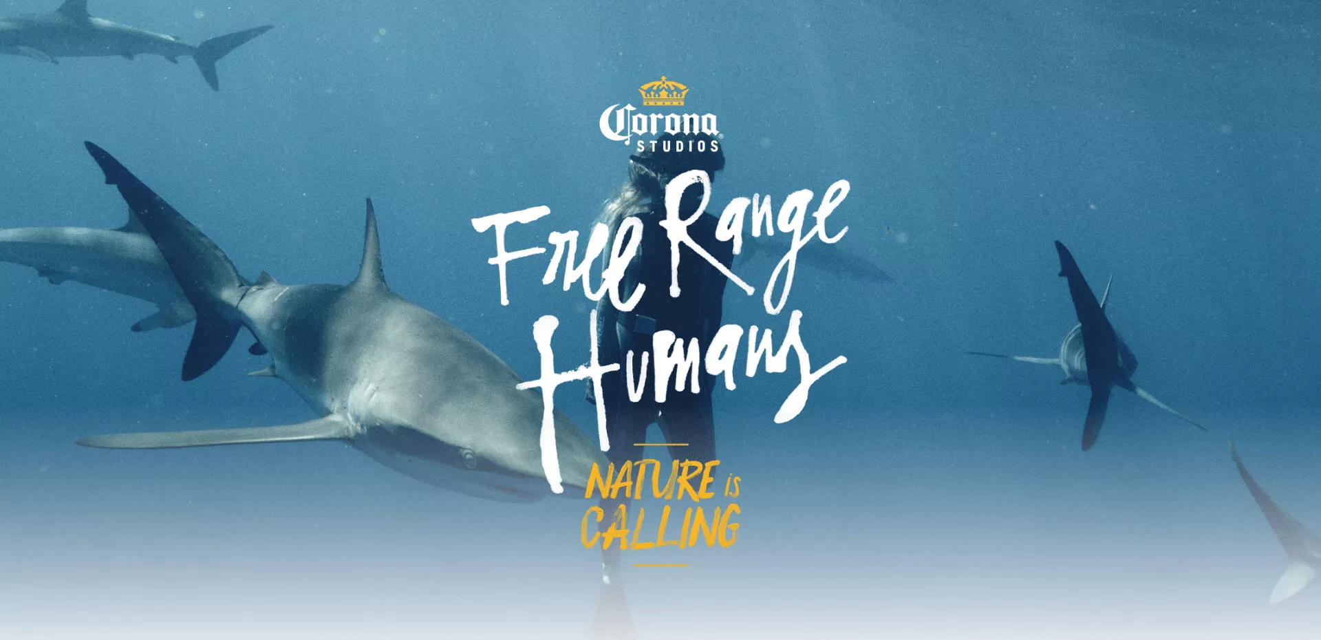 Free range humans banner