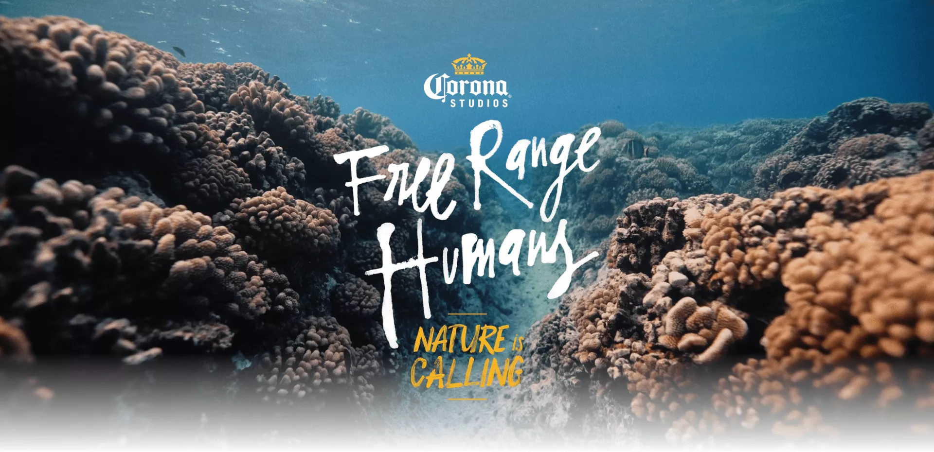 Free range humans banner