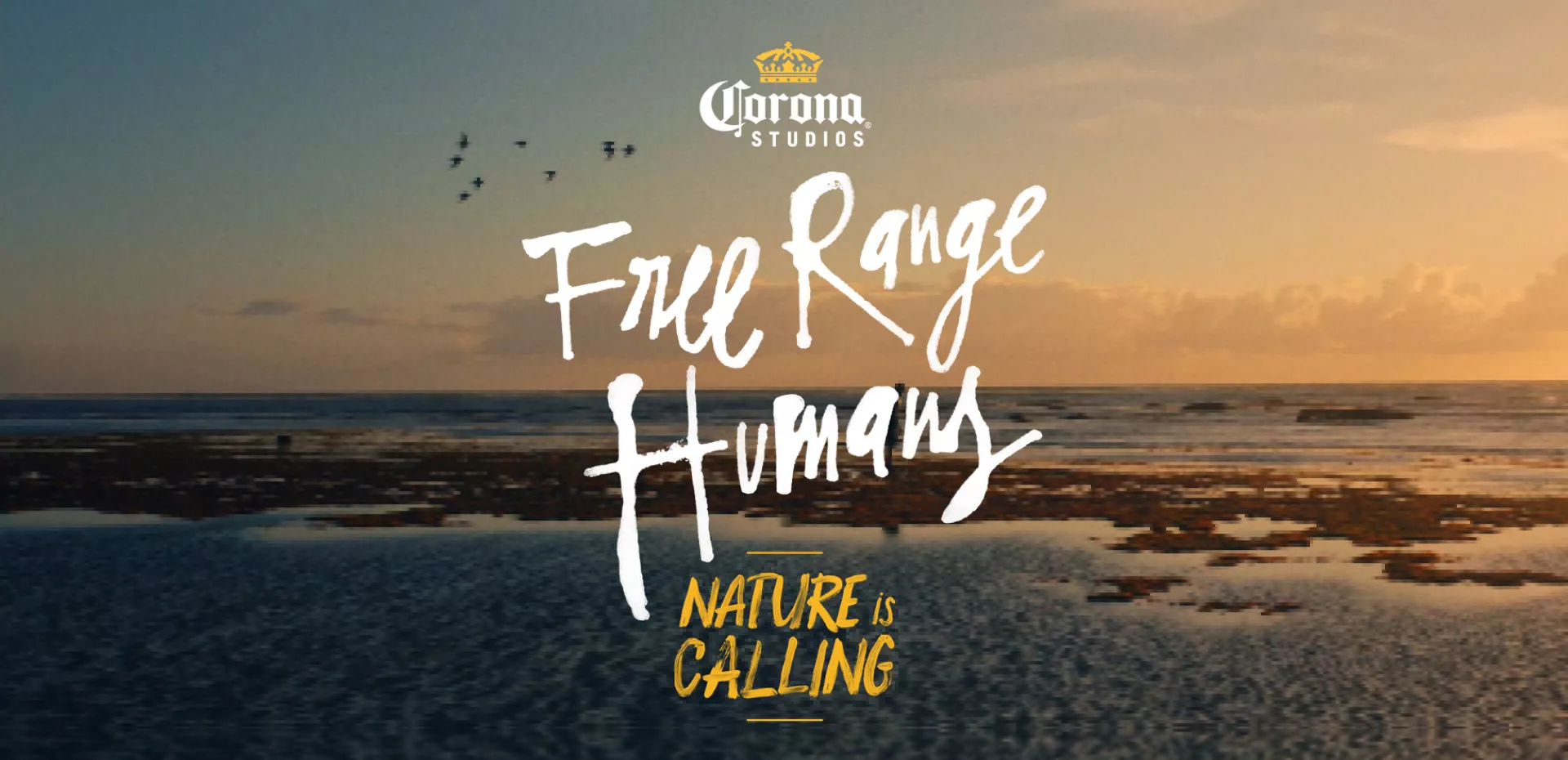 Free ranger humans - About